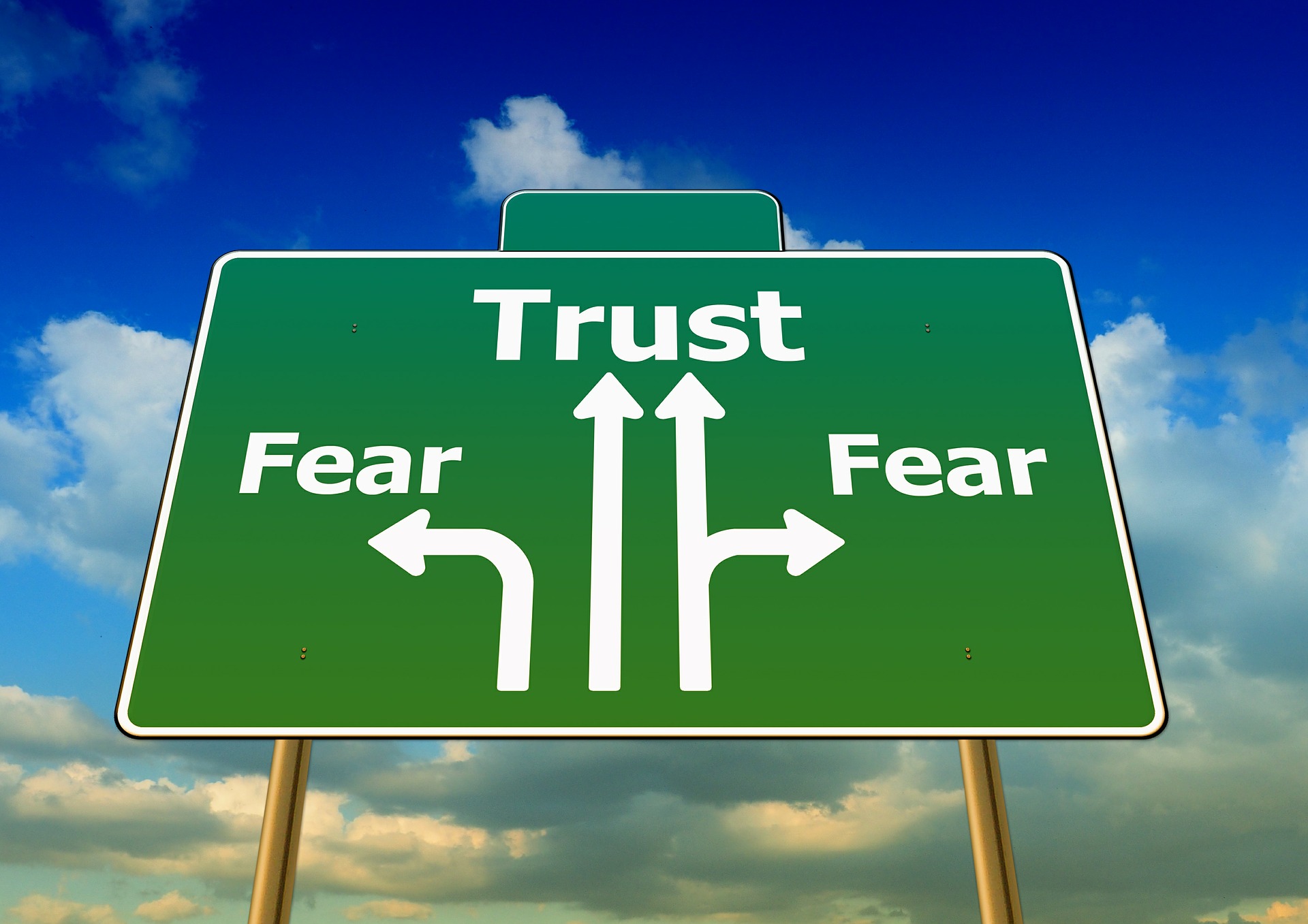 trust or fear