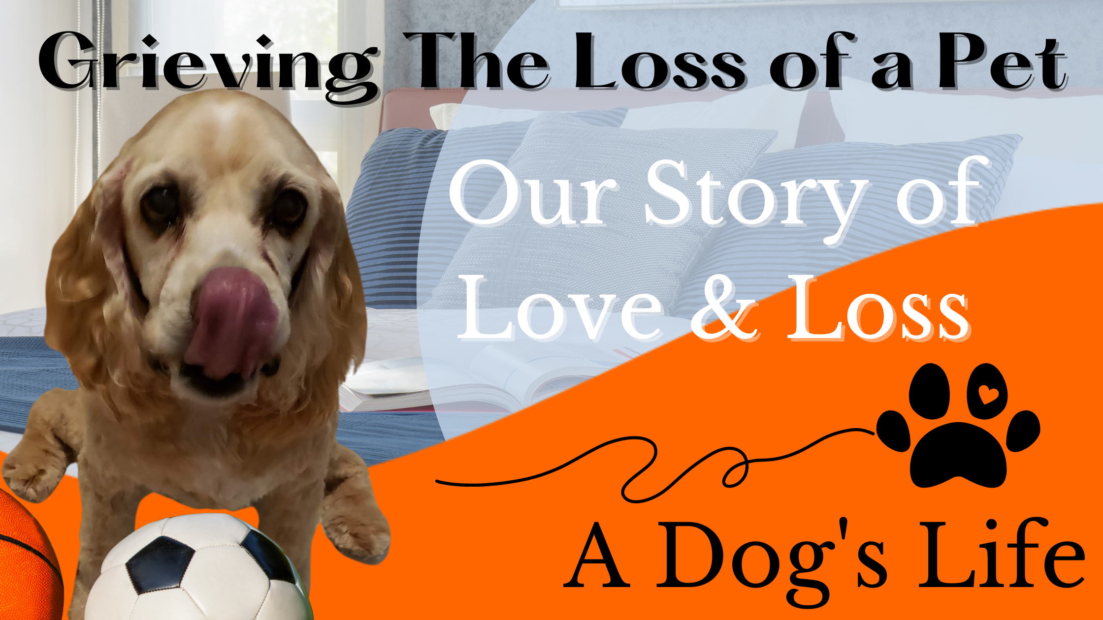 grieving the loss of a pet. our story of love & loss. a dog's life.
